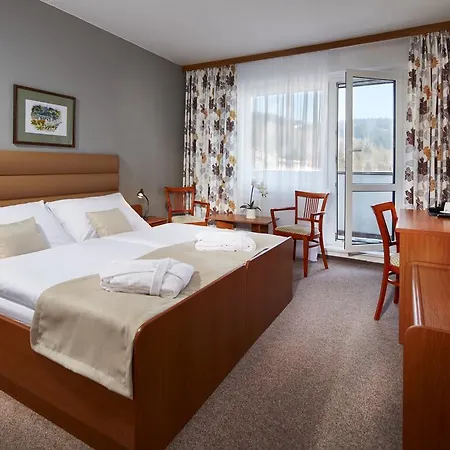 Spa Devin Marianske Lazne