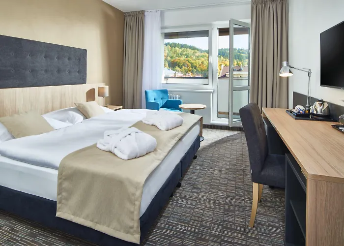 德文温泉酒店 4*