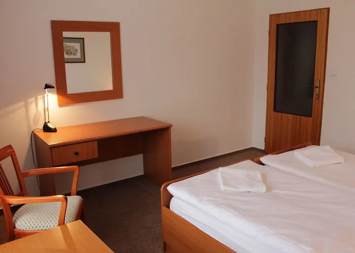 Devin マリアーンスケー・ラーズニェ