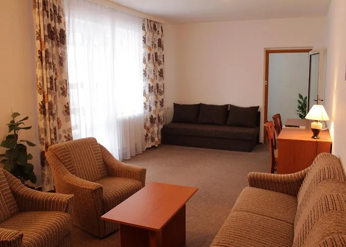 德文温泉酒店 4*